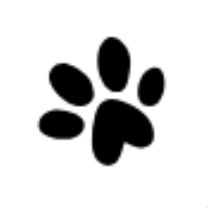 Counter icon